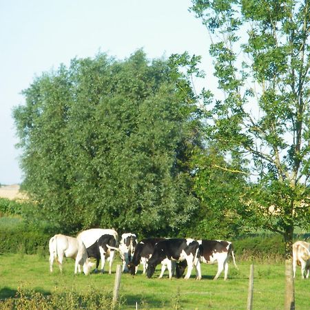 La Vallee Des Trois Monts Saint-Sylvestre-Cappel Exterior photo